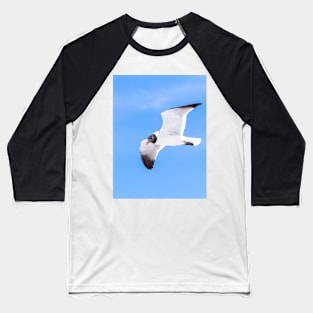 Laughing Gull Seagull and Blue Sky Baseball T-Shirt